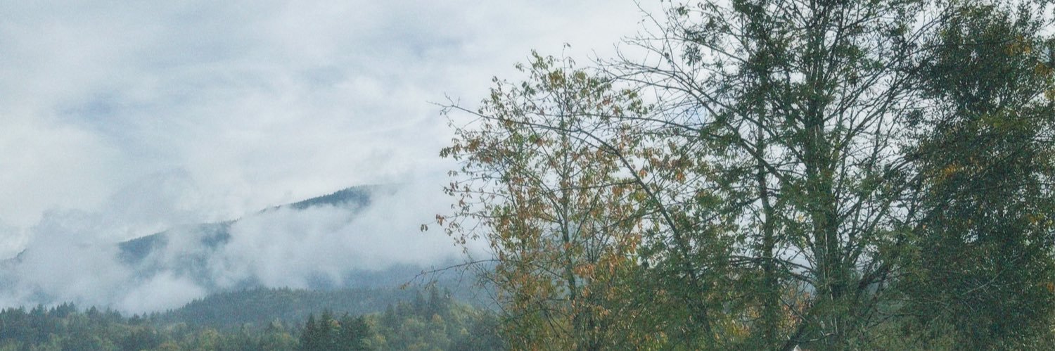✰cass✰ banner