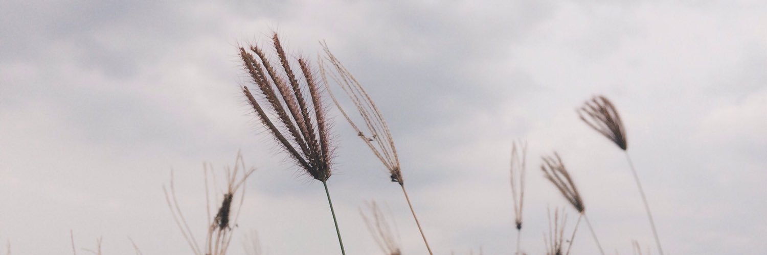 MEKIK77's profile banner image