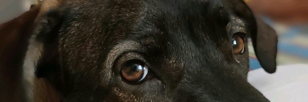 SamBenois's profile banner image
