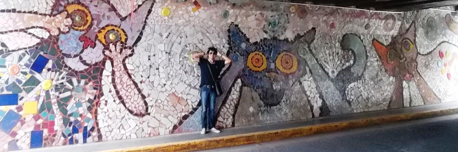 rojassalgado's profile banner image