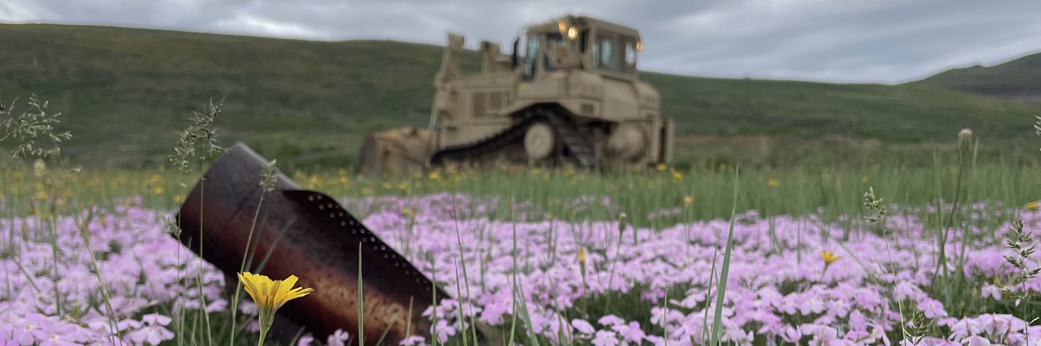 Schweston's profile banner image