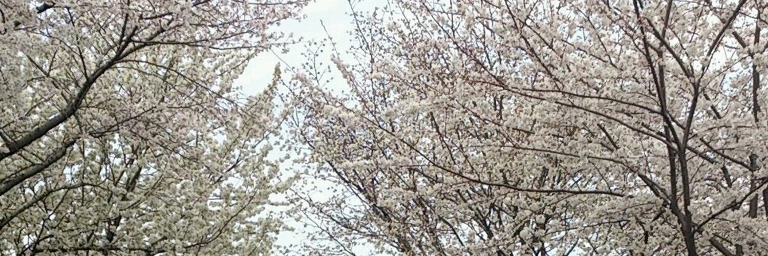 mii773's profile banner image