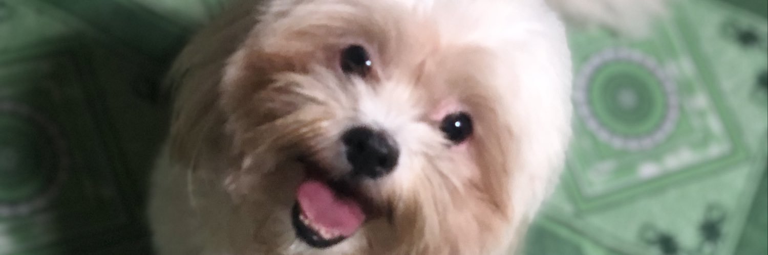 meanneyah's profile banner image