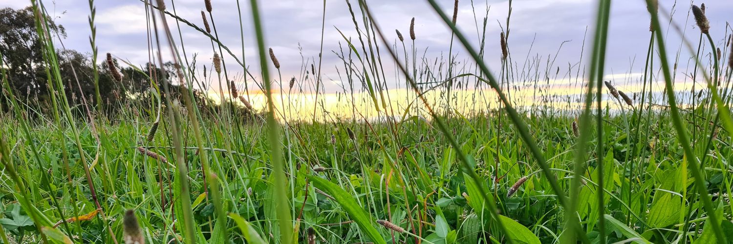 Dirty Clean Food banner