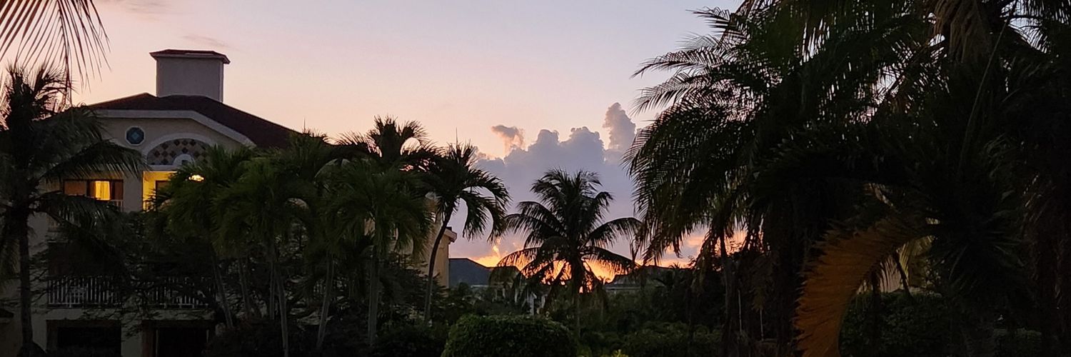 bidjad10's profile banner image