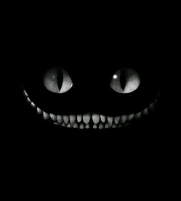 ElsaMariaP's profile banner image