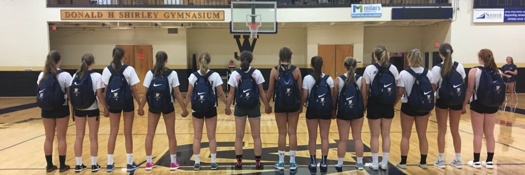 Blue&GoldVolleyball banner