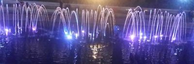 StarexOfficial banner