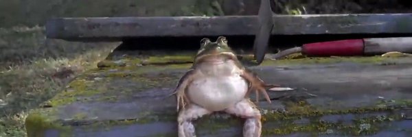 Chocotoffy Profile Banner