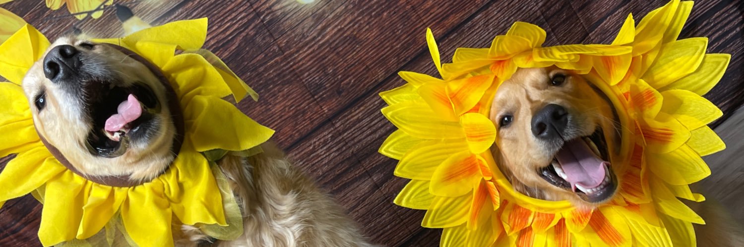 emilyfreundlich's profile banner image