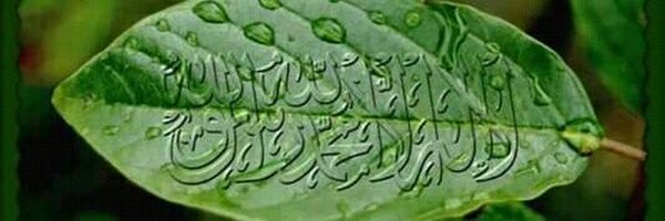 ابن حبیب Profile Banner