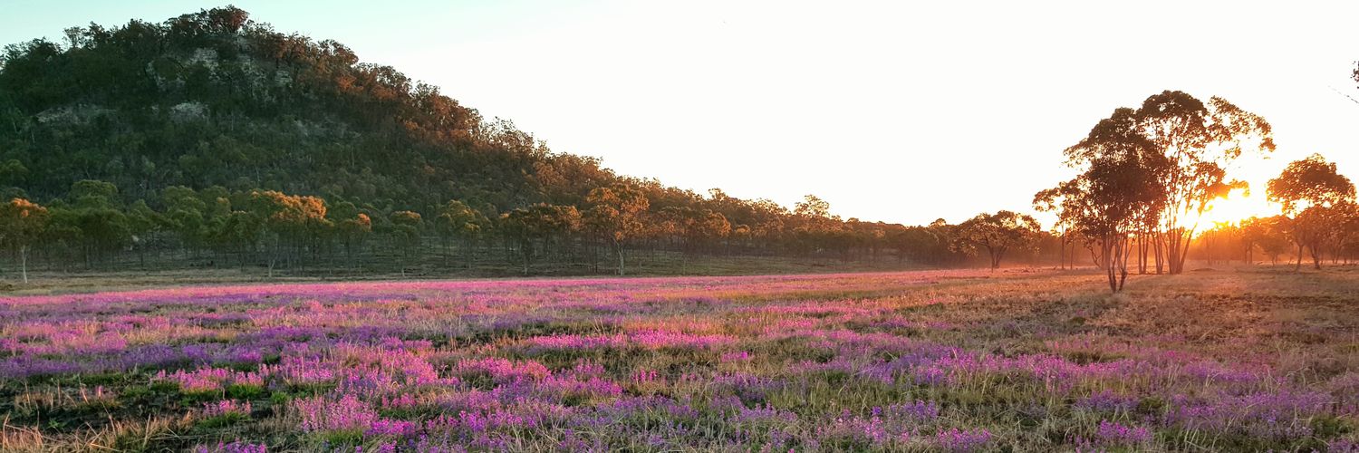 Miranda Rew-Duffy banner