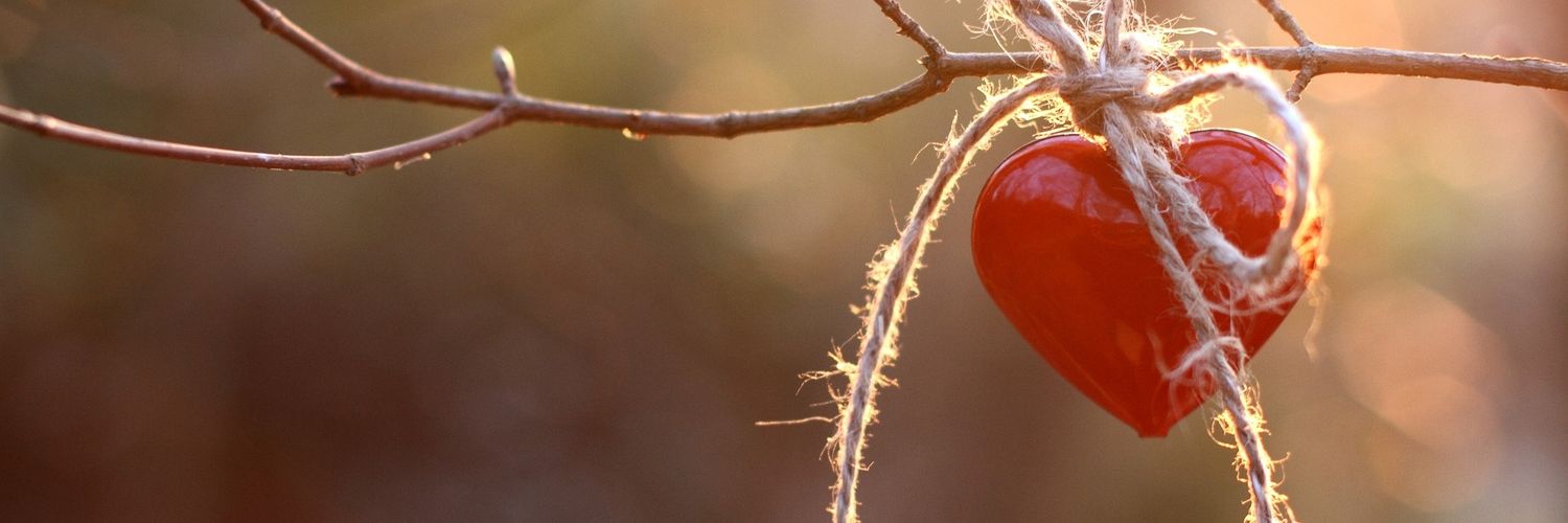 annabrrj's profile banner image