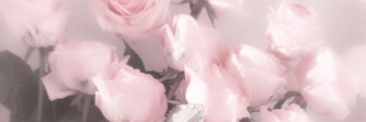 luné ⸾ @ after dm banner