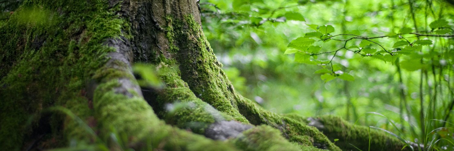 The Queen's Green Canopy banner