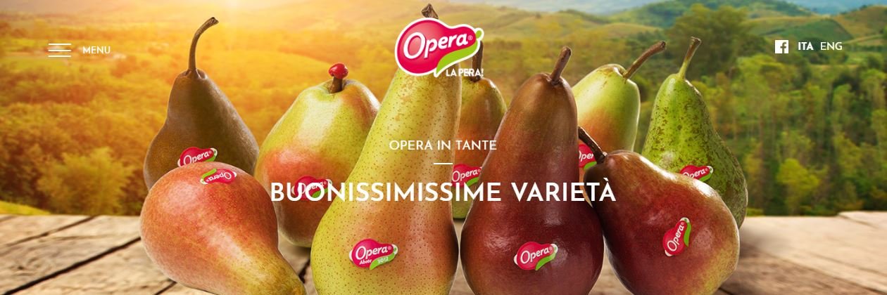 Fruitmodena's profile banner image