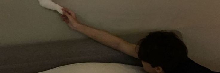 la🌻 banner