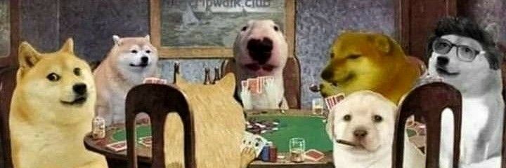 ana karolayne banner