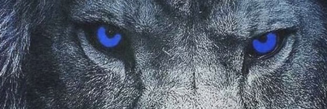 Matt banner