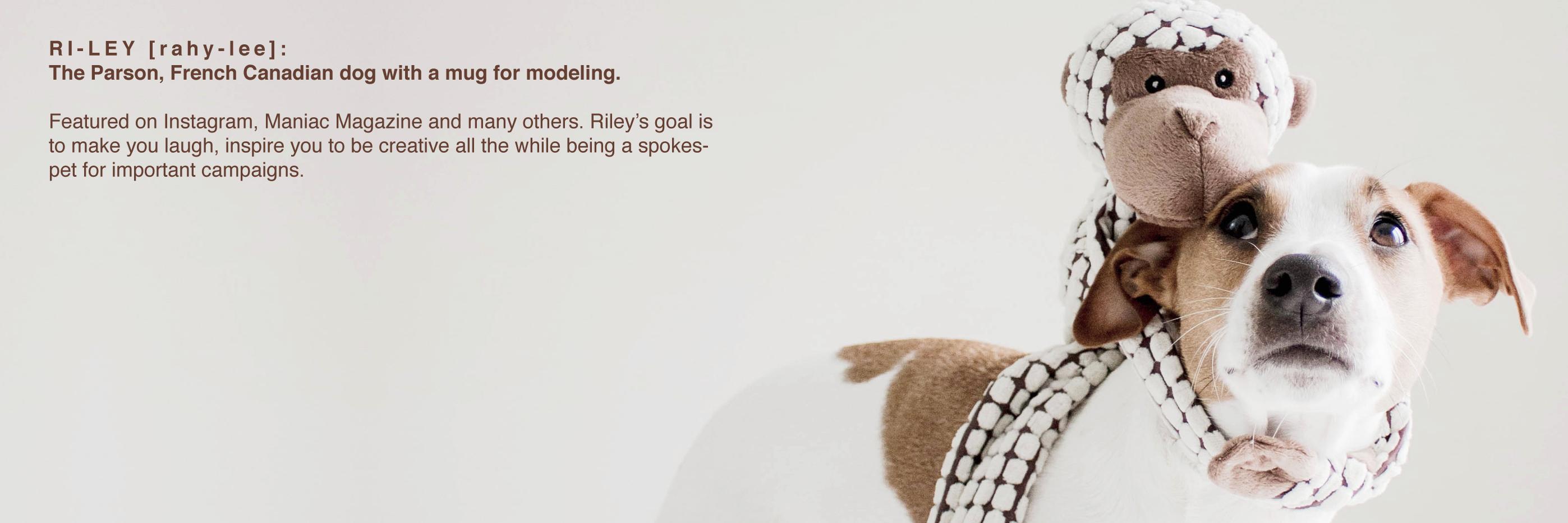 ichaity's profile banner image