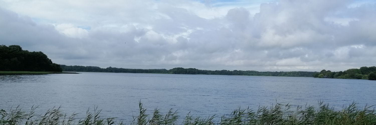 hornhave's profile banner image