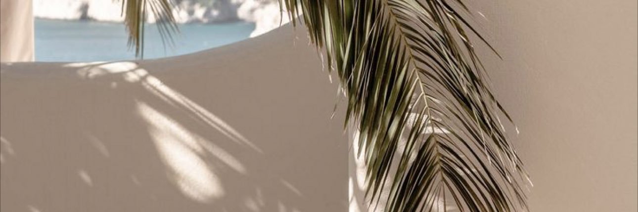 ShouAS1's profile banner image