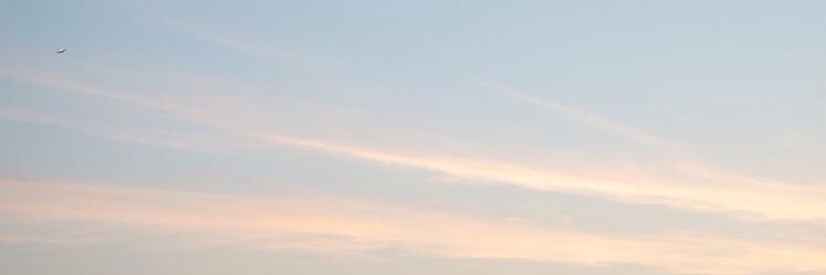 raqqquel_'s profile banner image