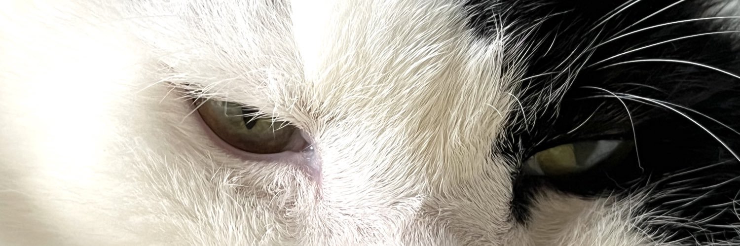 inapte2's profile banner image