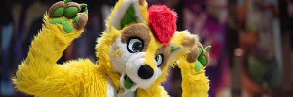 FlaviusFepu Profile Banner