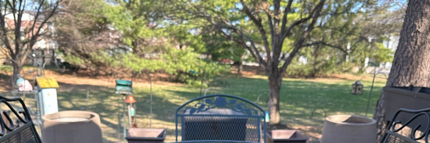 BarbOsier's profile banner image