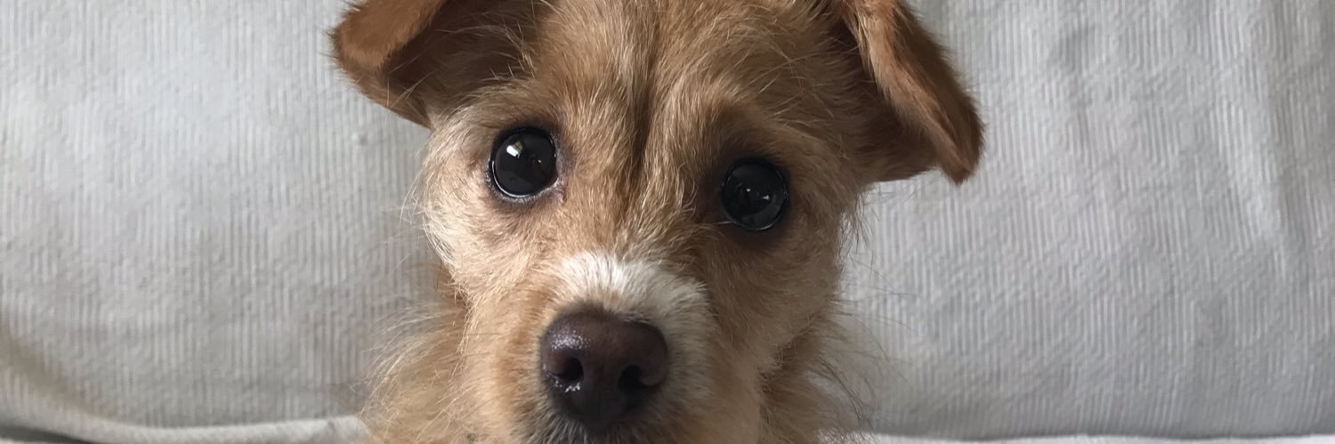 EllieCopas's profile banner image