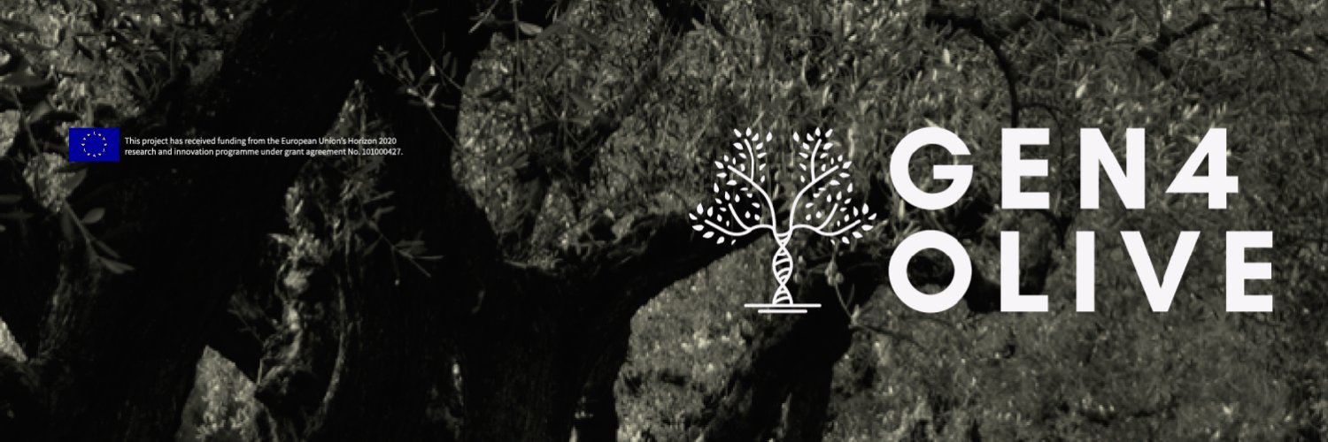GEN4OLIVE banner