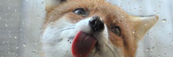 __Verdu's profile banner image