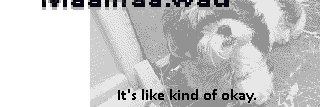 cREEator77's profile banner image