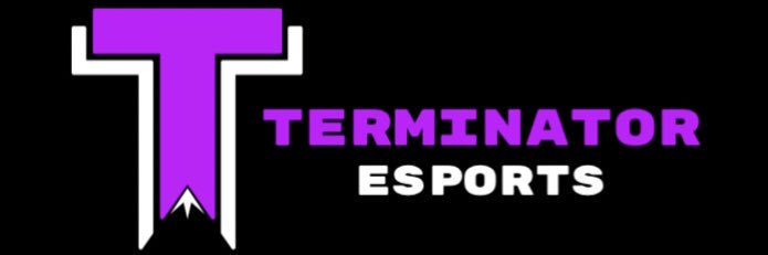 TheTerminator banner