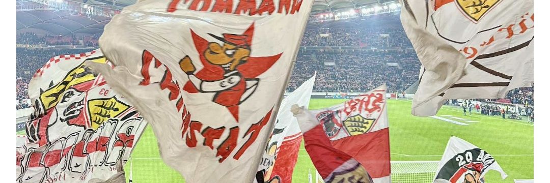 Meira Internationaaal 🤍❤️ banner