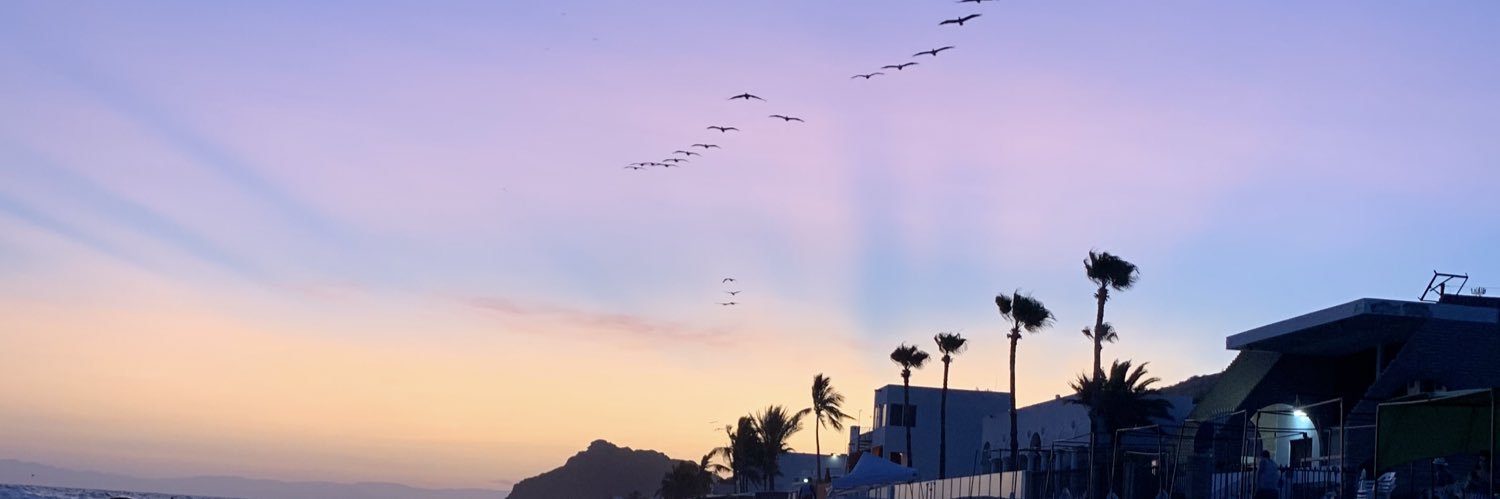 thaydeedanielaa's profile banner image