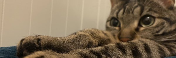 ___claudi Profile Banner