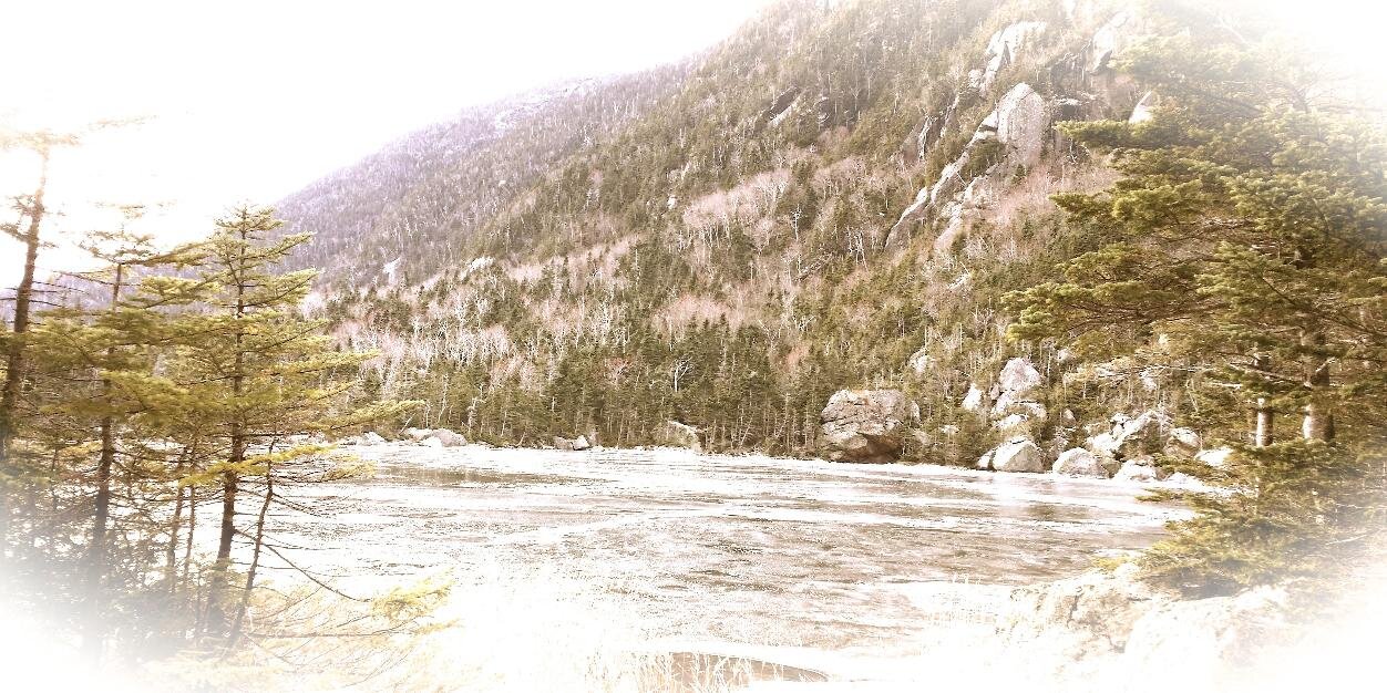 Tim Rowe (he/him) banner