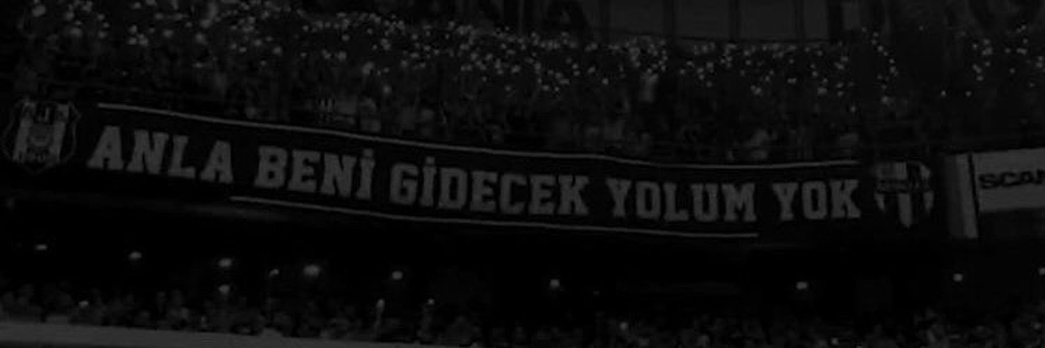 tuttiice's profile banner image