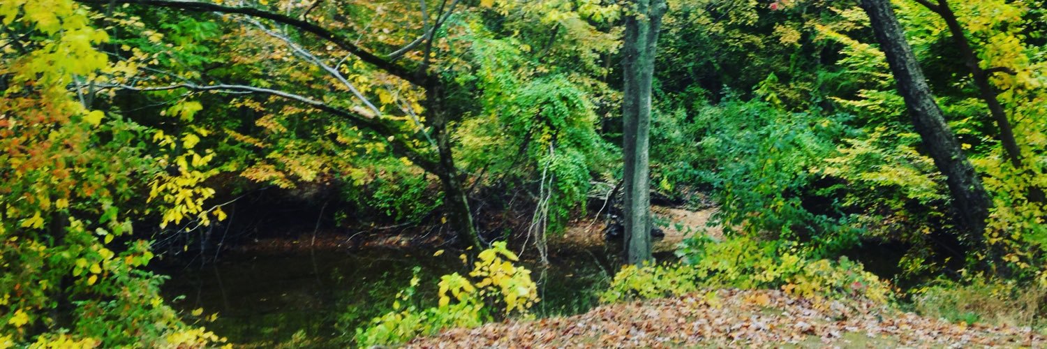 RaiMendPags's profile banner image