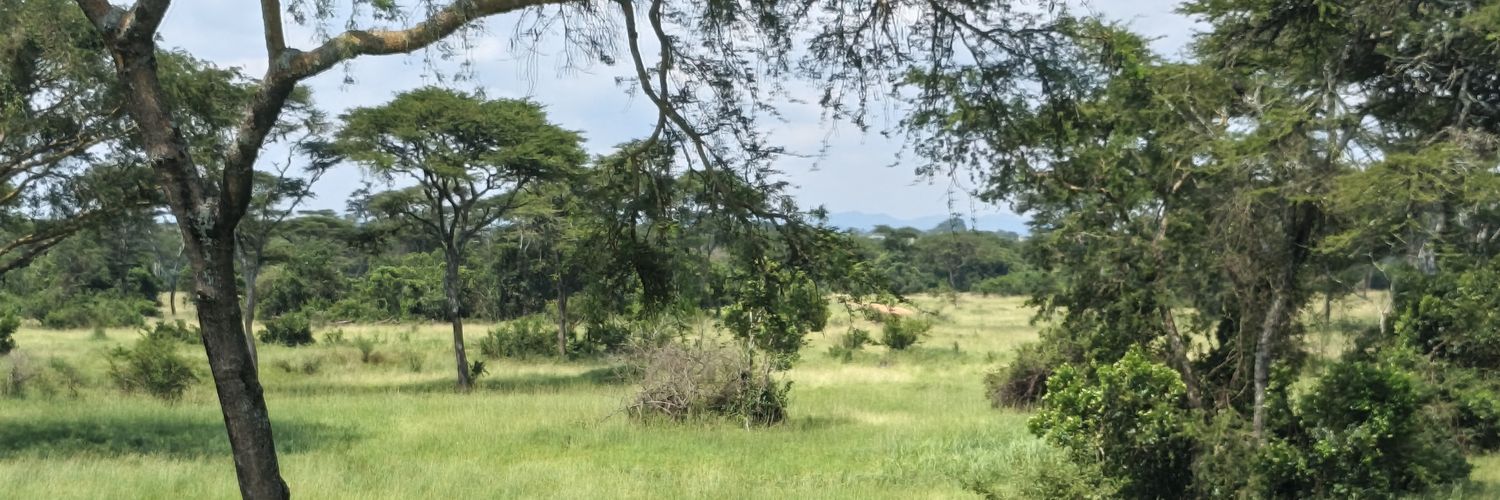 Balayo Samson banner