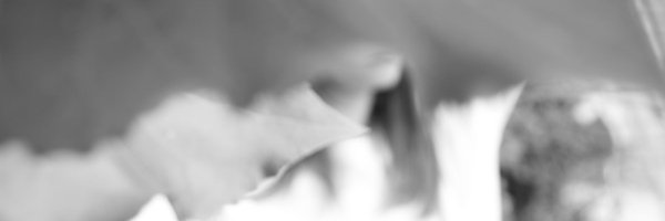 freya_arde Profile Banner