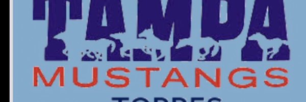 TMTStangs Profile Banner