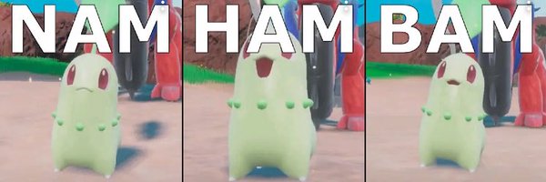 CactiHat Profile Banner