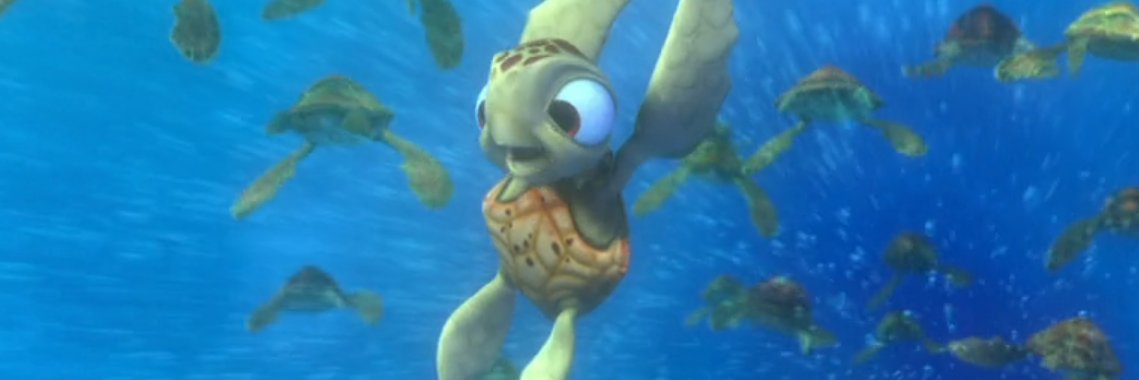 fen 🐢's banner