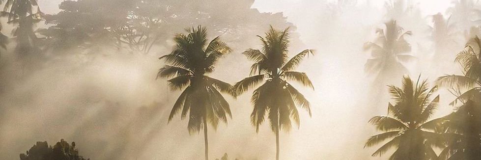 vj_jll's profile banner image