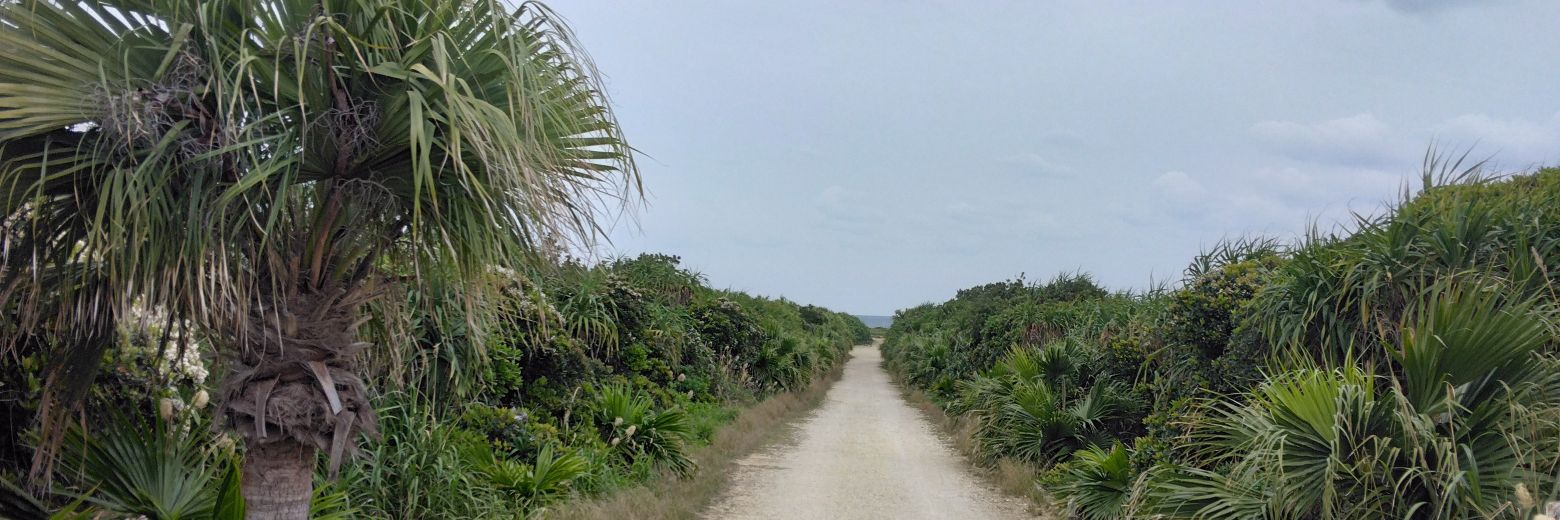 nicarago's profile banner image