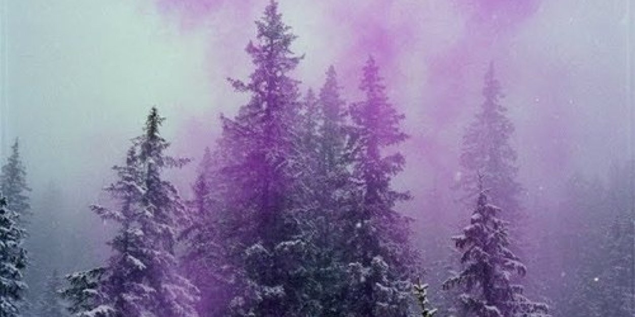cweilinx's profile banner image
