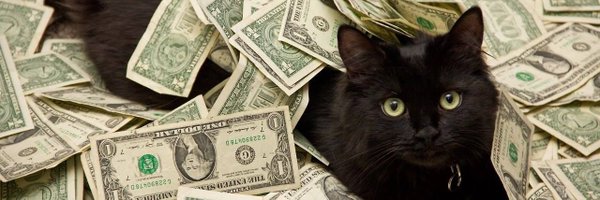 CryptoGat0 Profile Banner